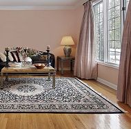Oriental Area Rug in Cleaning Boca Raton